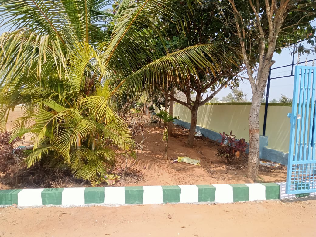 Click to view larger image