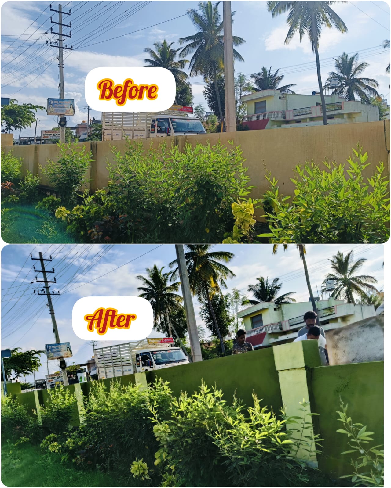 Click to view larger image