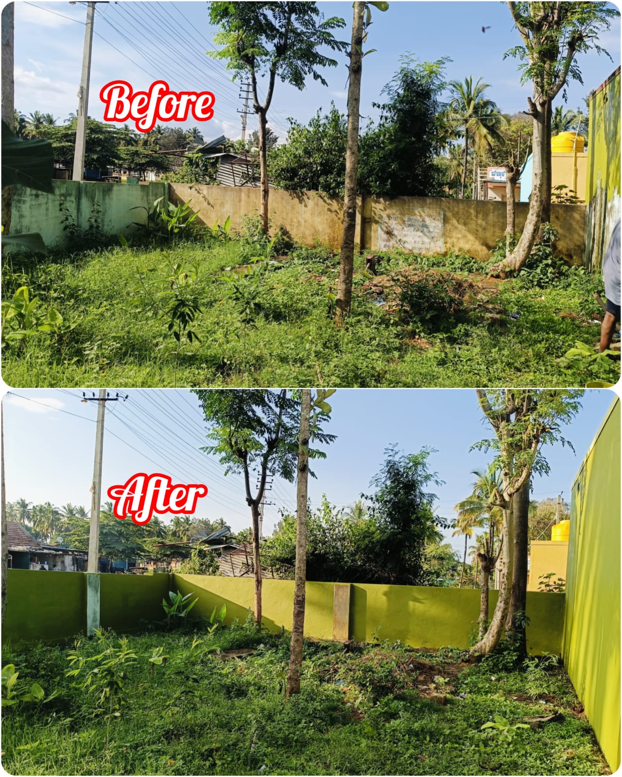 Click to view larger image